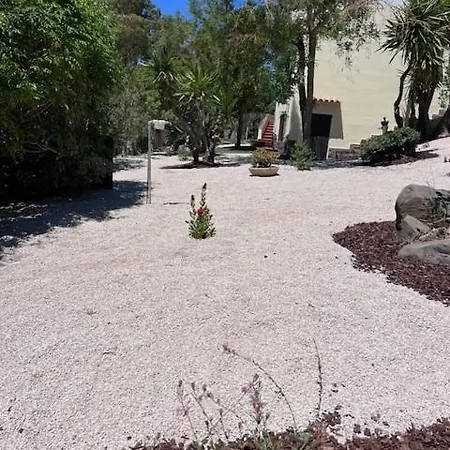 Luce טורה דלה סטלה